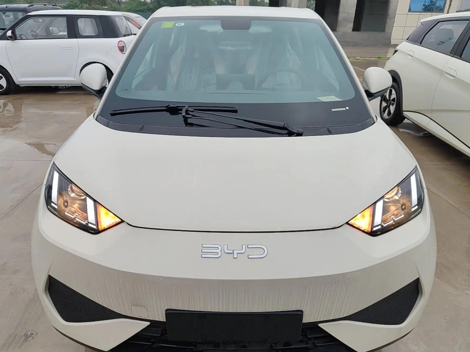 BYD Seagull 2025 Intelligent Driving Version 305 km Dynamic Edition — миниатюра 2