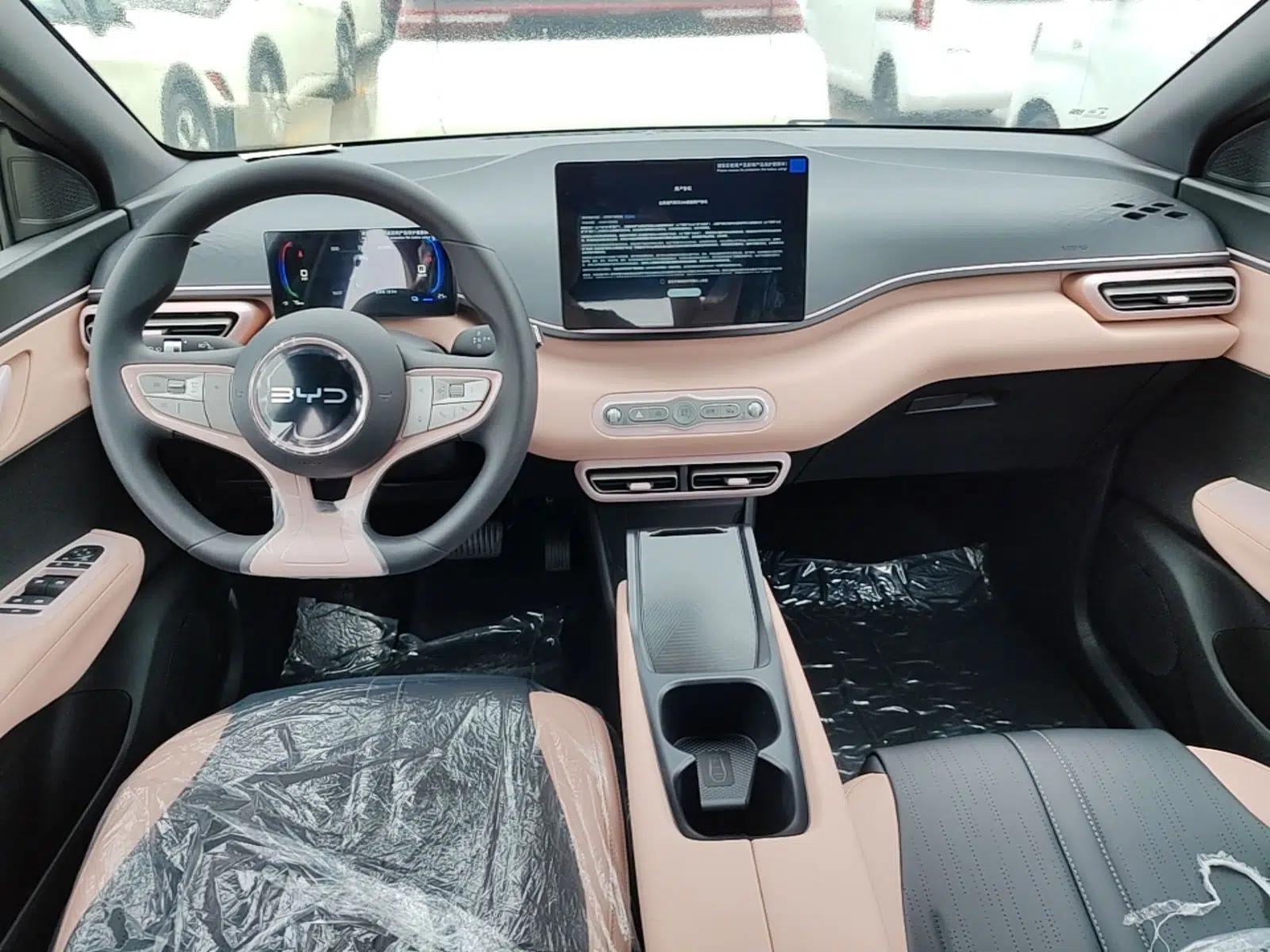BYD Seagull 2025 Intelligent Driving Version 305 km Dynamic Edition — миниатюра 12