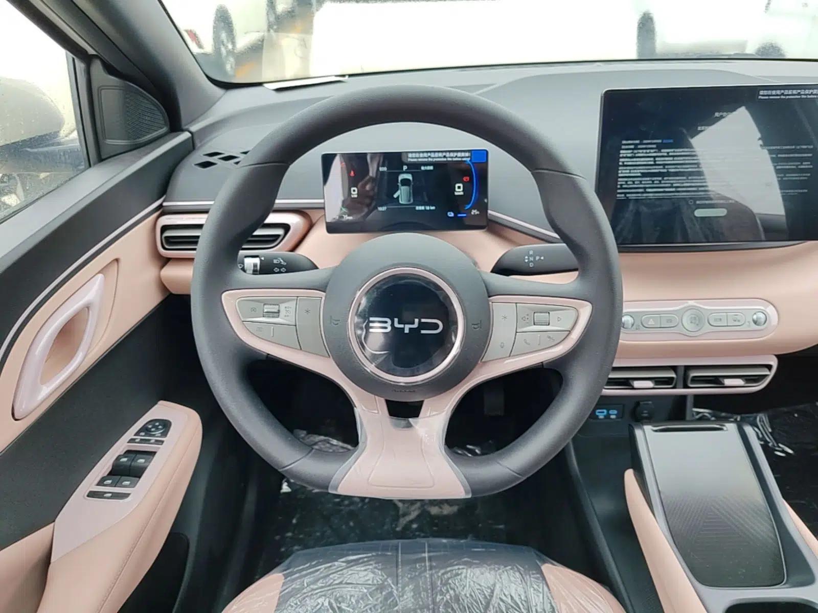 BYD Seagull 2025 Intelligent Driving Version 305 km Dynamic Edition — миниатюра 13