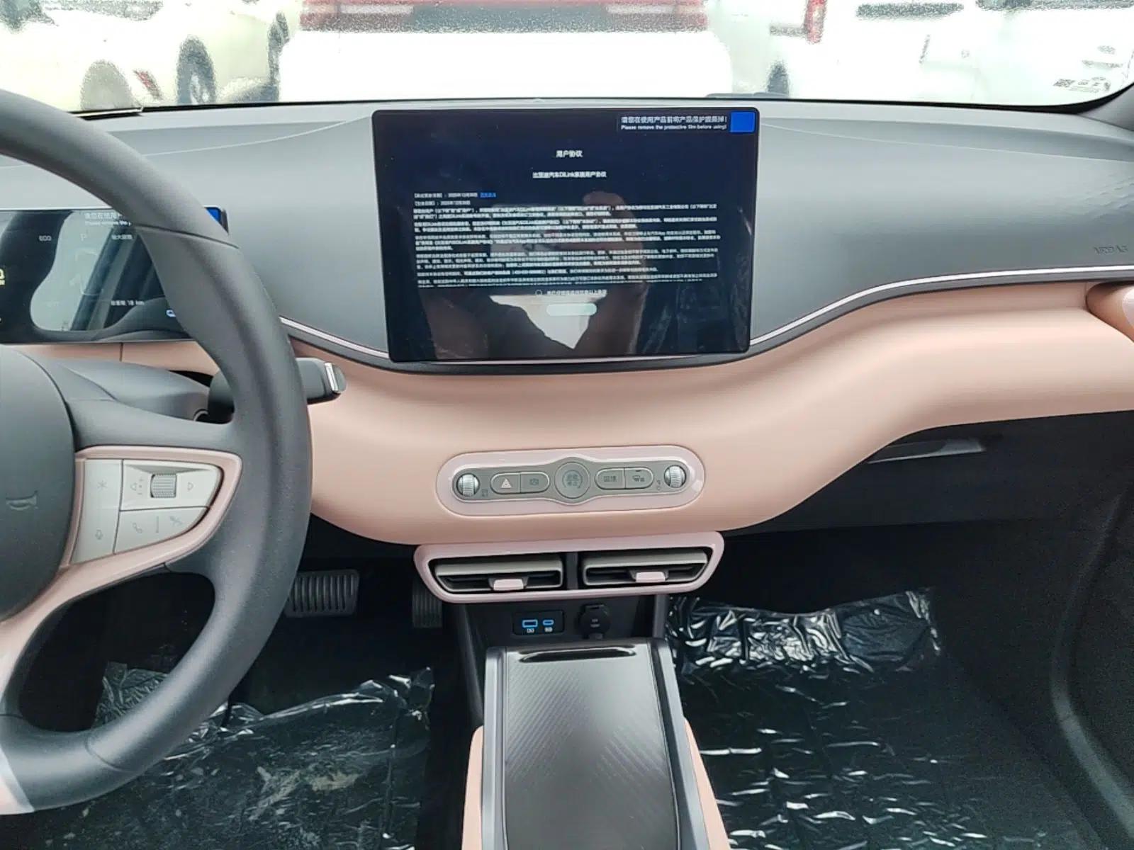 BYD Seagull 2025 Intelligent Driving Version 305 km Dynamic Edition — миниатюра 15