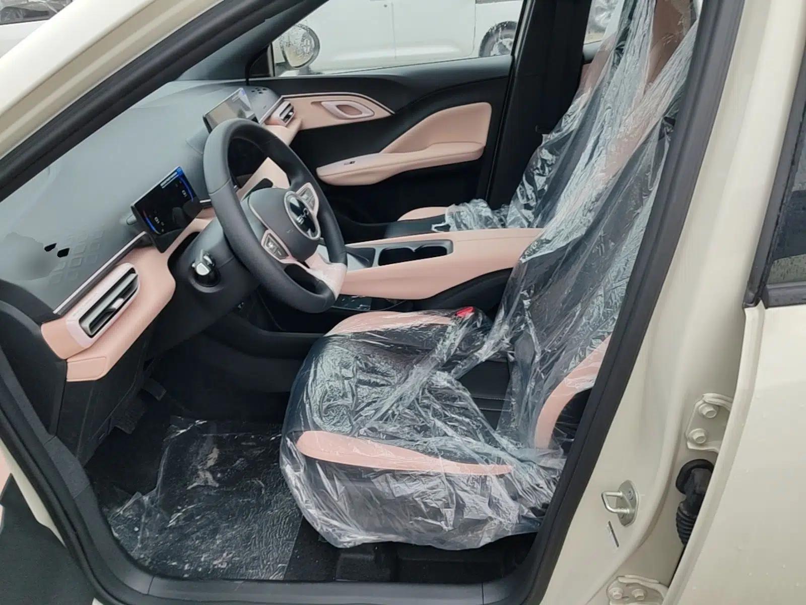 BYD Seagull 2025 Intelligent Driving Version 305 km Dynamic Edition — миниатюра 17