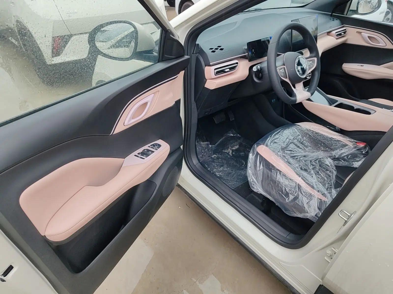BYD Seagull 2025 Intelligent Driving Version 305 km Dynamic Edition — миниатюра 18