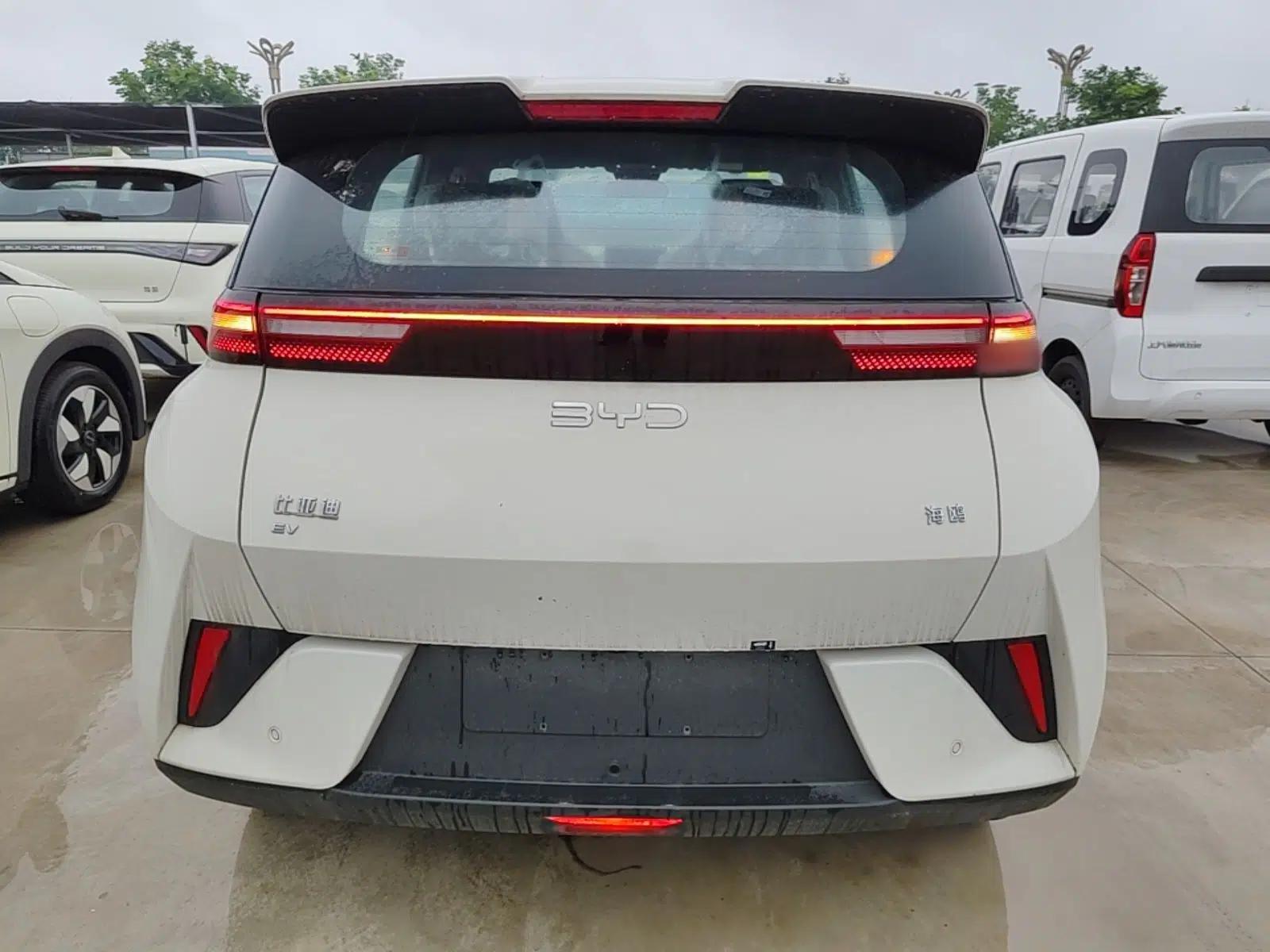 BYD Seagull 2025 Intelligent Driving Version 305 km Dynamic Edition — миниатюра 5