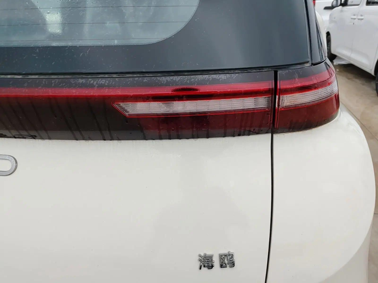 BYD Seagull 2025 Intelligent Driving Version 305 km Dynamic Edition — миниатюра 9