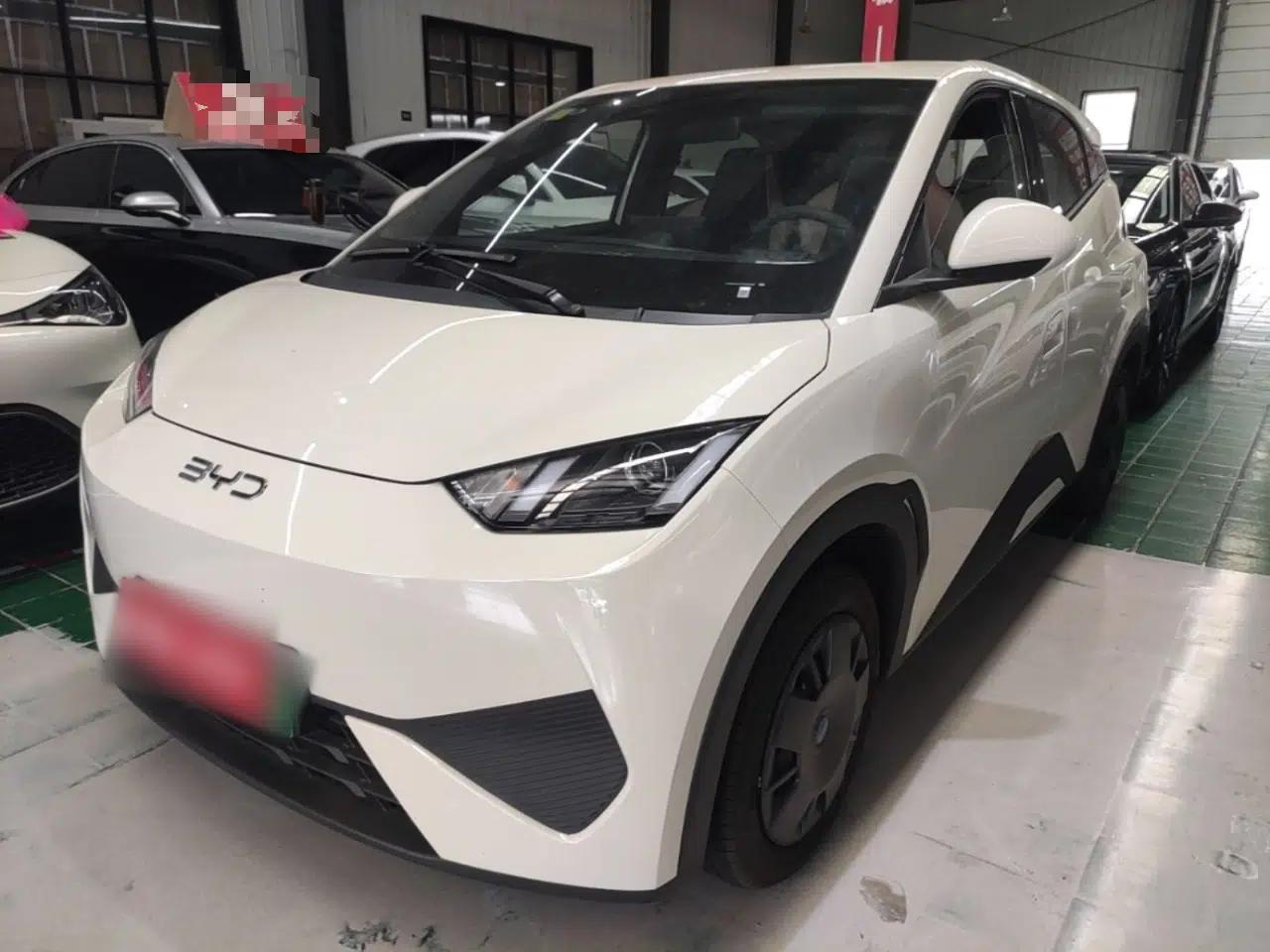 BYD Seagull 2025 Intelligent Driving Version 305 km Dynamic Edition — миниатюра 1