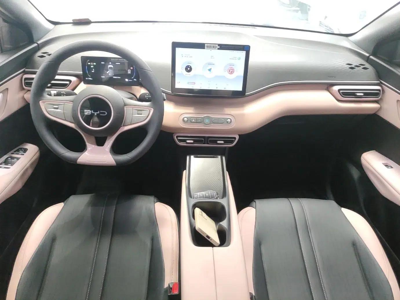 BYD Seagull 2025 Intelligent Driving Version 305 km Dynamic Edition — миниатюра 12