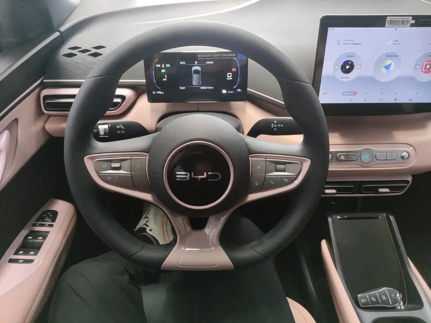 BYD Seagull 2025 Intelligent Driving Version 305 km Dynamic Edition — миниатюра 13