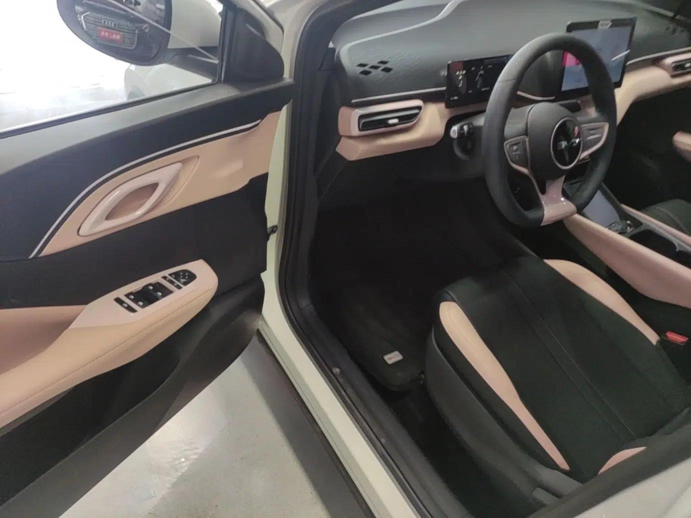 BYD Seagull 2025 Intelligent Driving Version 305 km Dynamic Edition — миниатюра 18