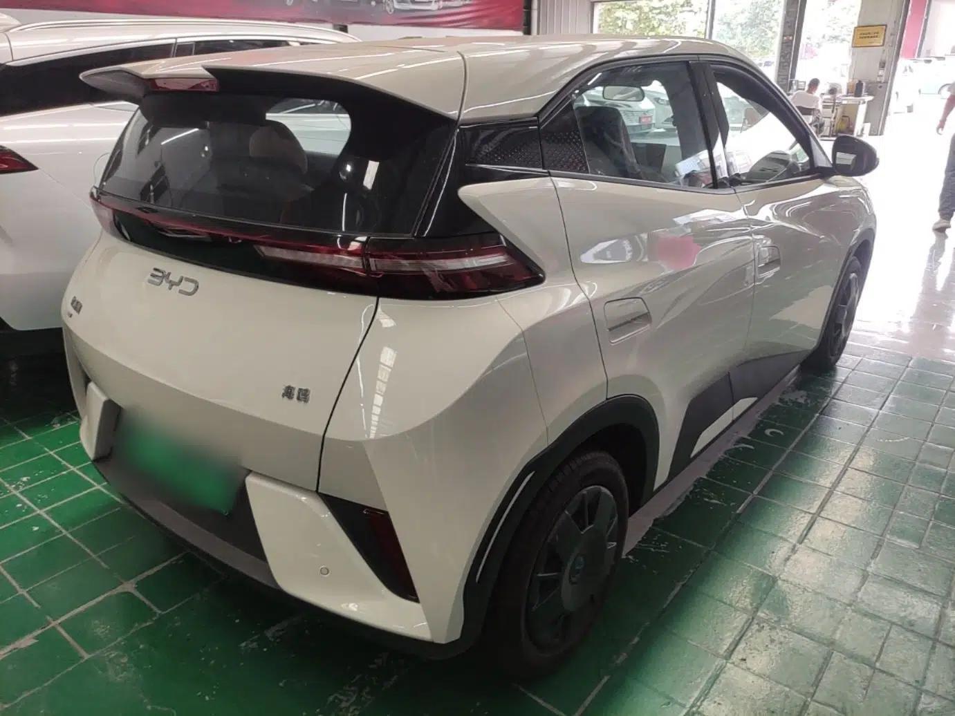BYD Seagull 2025 Intelligent Driving Version 305 km Dynamic Edition — миниатюра 6