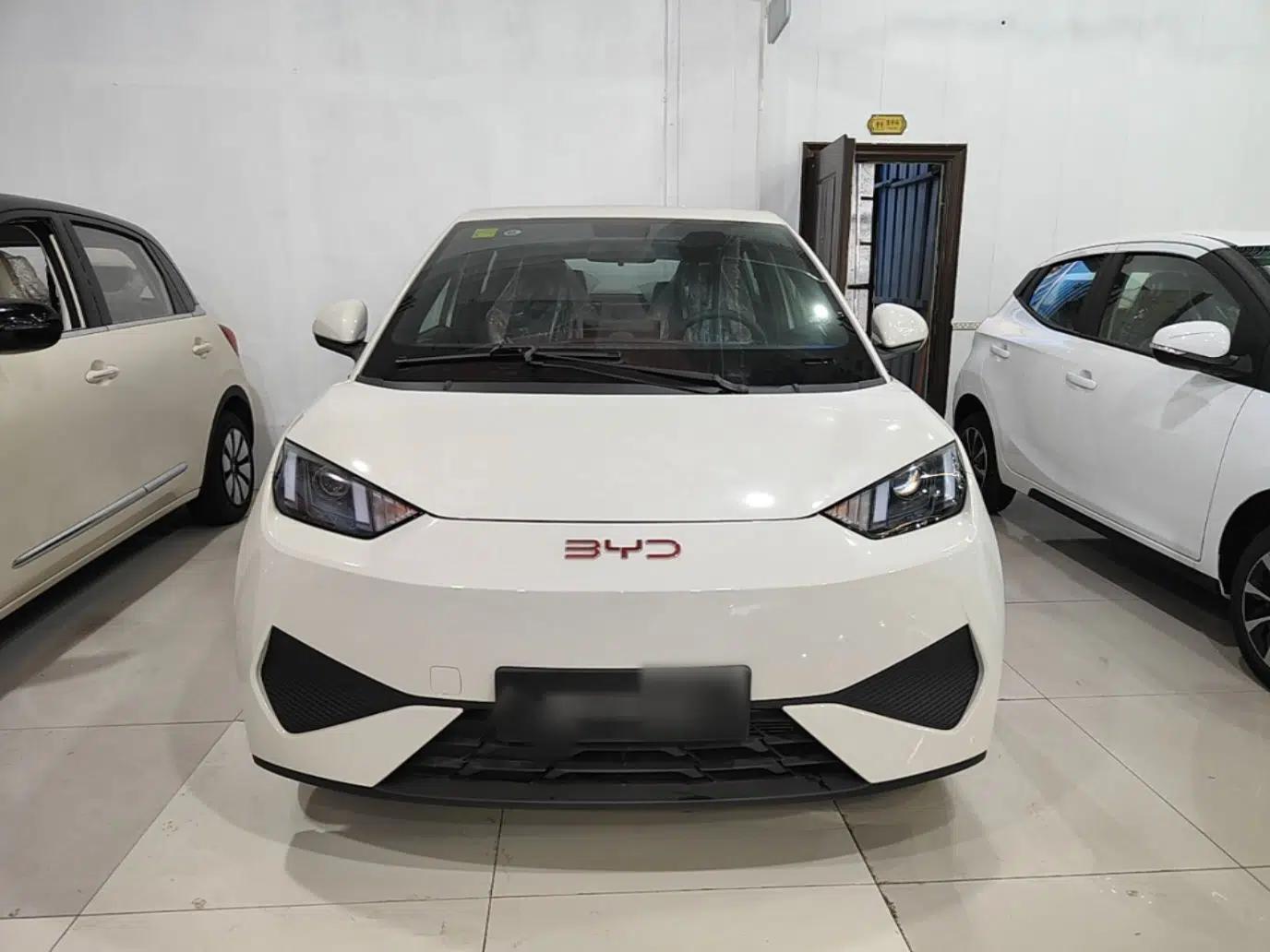 BYD Seagull 2025 Intelligent Driving Version 305 km Dynamic Edition — миниатюра 2