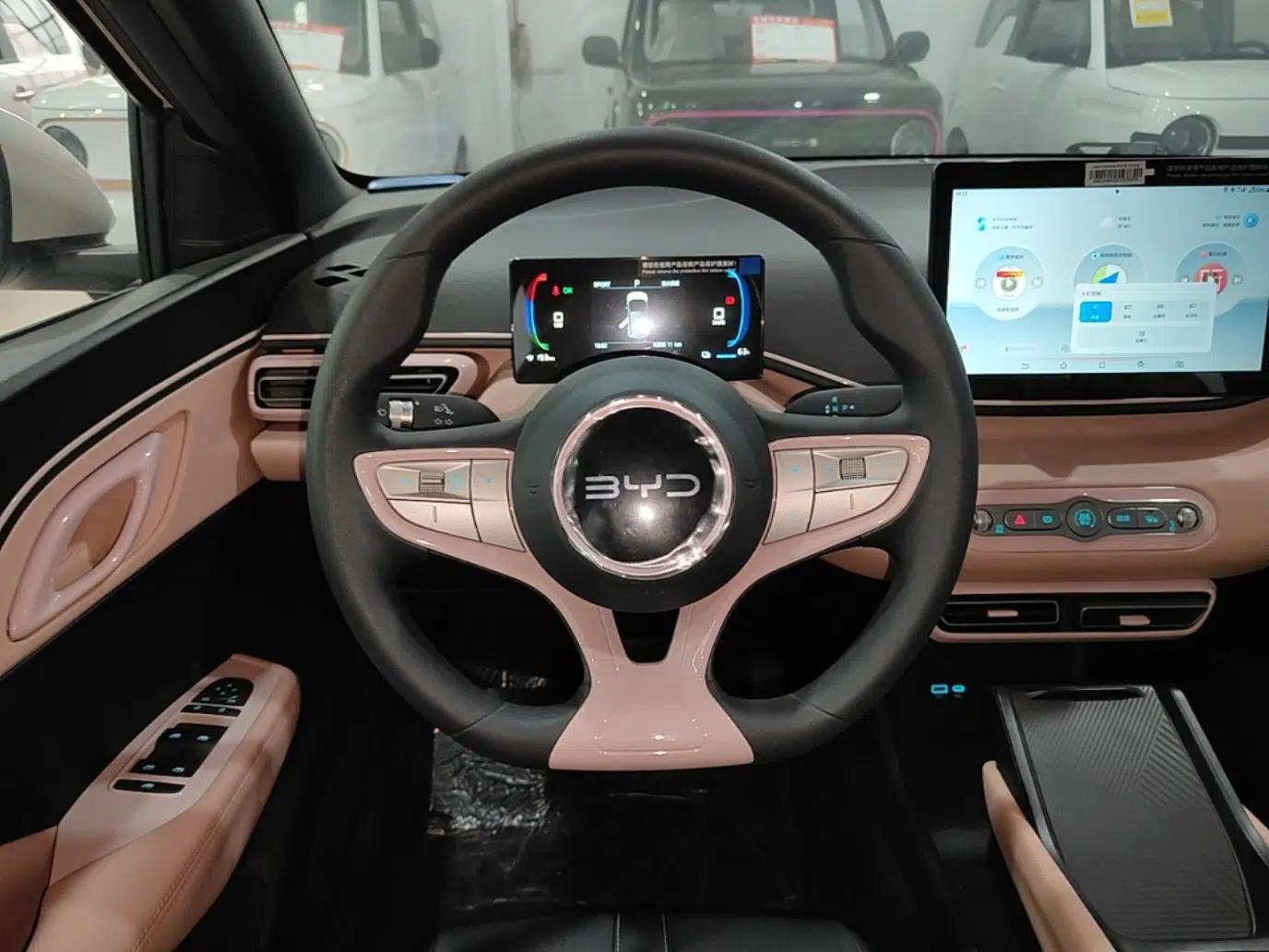 BYD Seagull 2025 Intelligent Driving Version 305 km Dynamic Edition — миниатюра 13