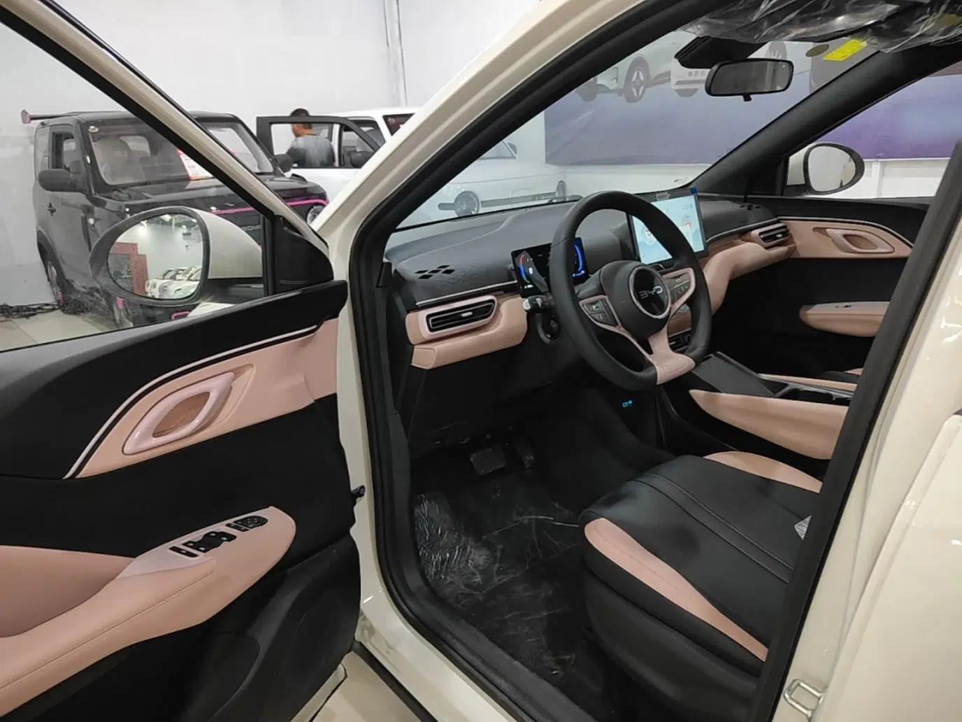 BYD Seagull 2025 Intelligent Driving Version 305 km Dynamic Edition — миниатюра 18