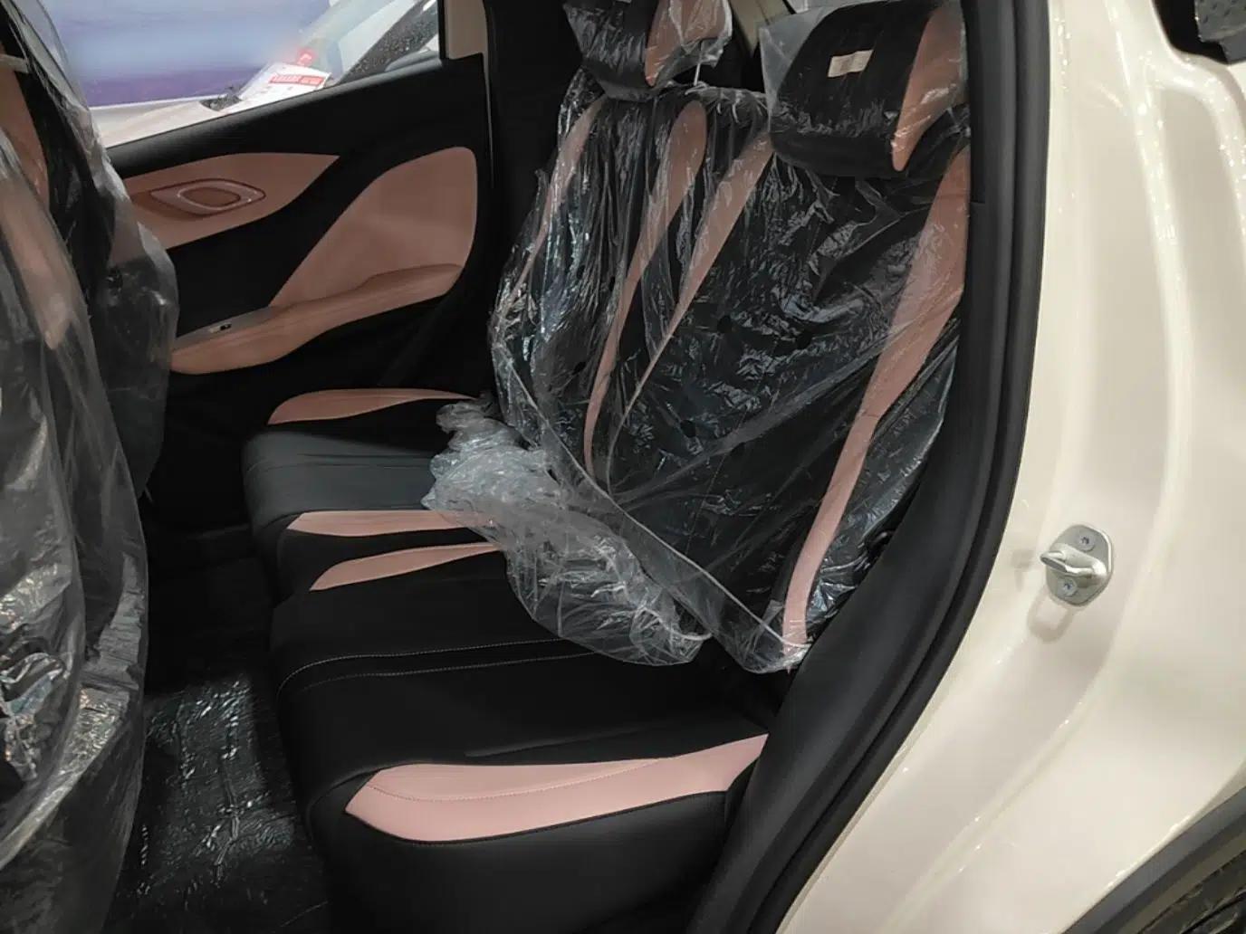 BYD Seagull 2025 Intelligent Driving Version 305 km Dynamic Edition — миниатюра 20