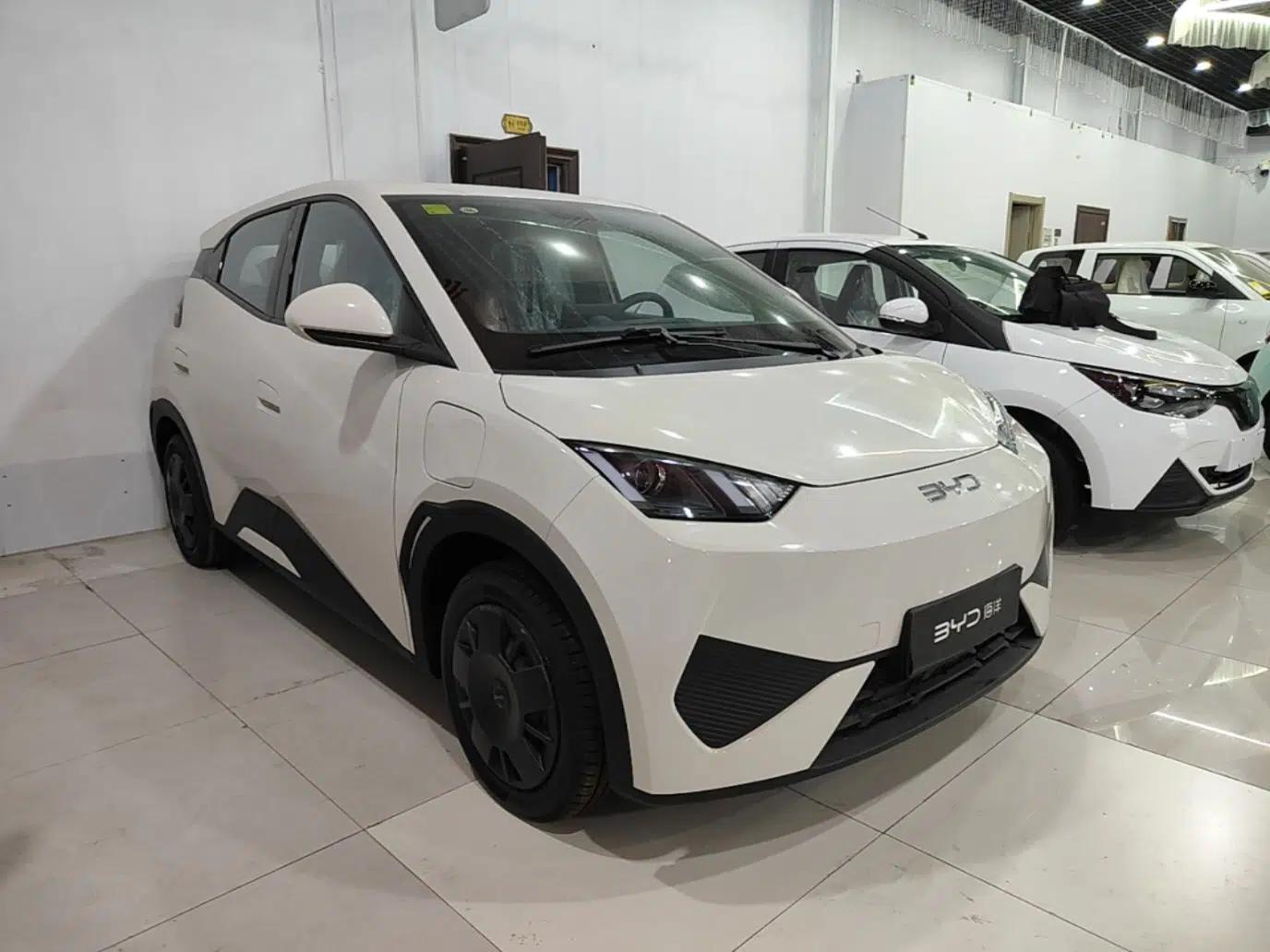 BYD Seagull 2025 Intelligent Driving Version 305 km Dynamic Edition — миниатюра 3