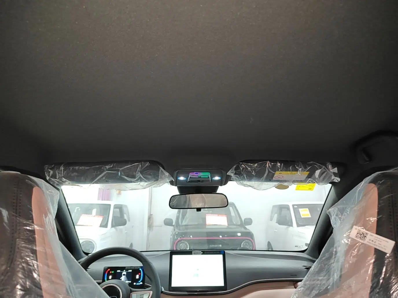 BYD Seagull 2025 Intelligent Driving Version 305 km Dynamic Edition — миниатюра 21