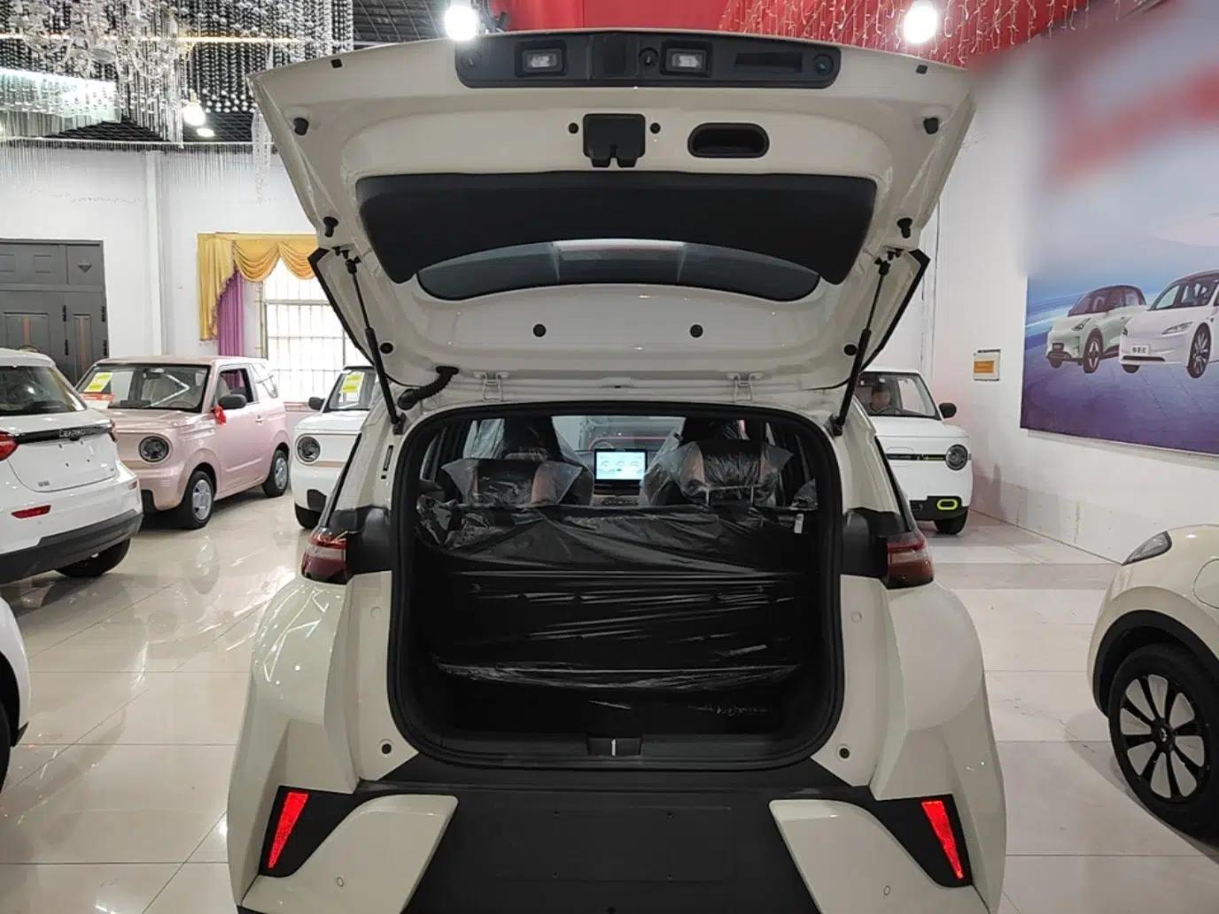 BYD Seagull 2025 Intelligent Driving Version 305 km Dynamic Edition — миниатюра 22