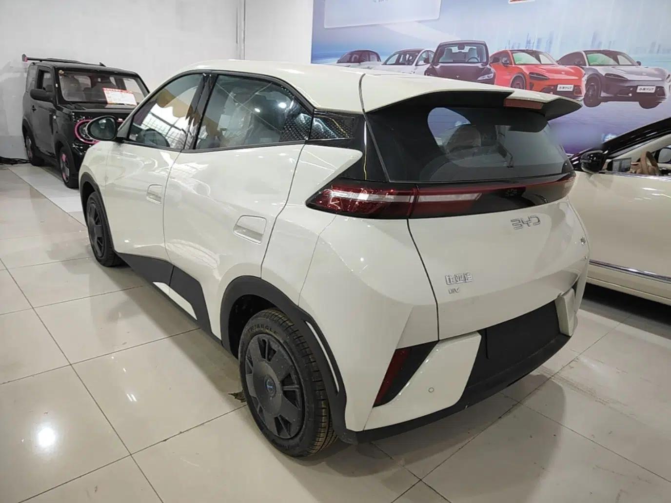 BYD Seagull 2025 Intelligent Driving Version 305 km Dynamic Edition — миниатюра 4