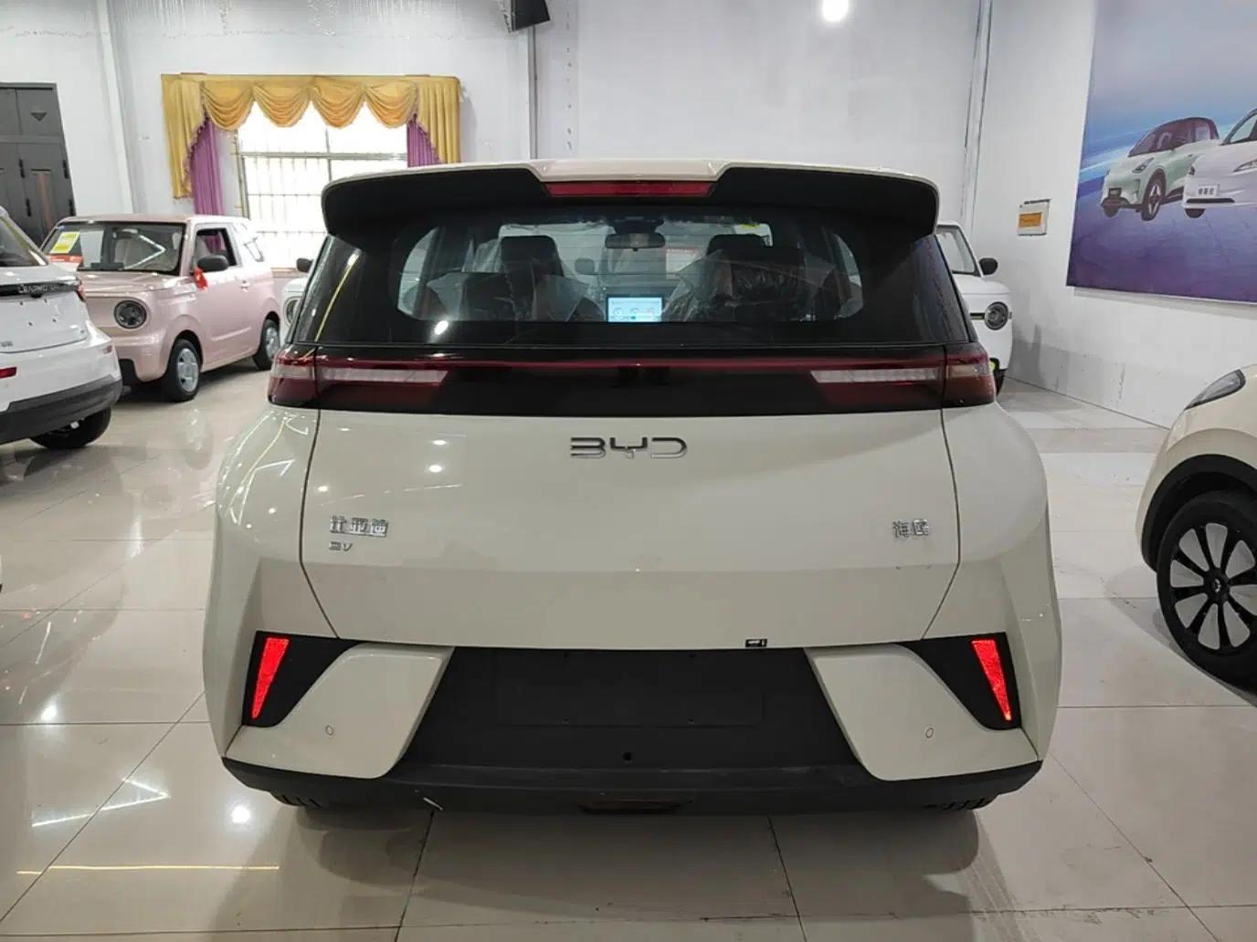 BYD Seagull 2025 Intelligent Driving Version 305 km Dynamic Edition — миниатюра 5
