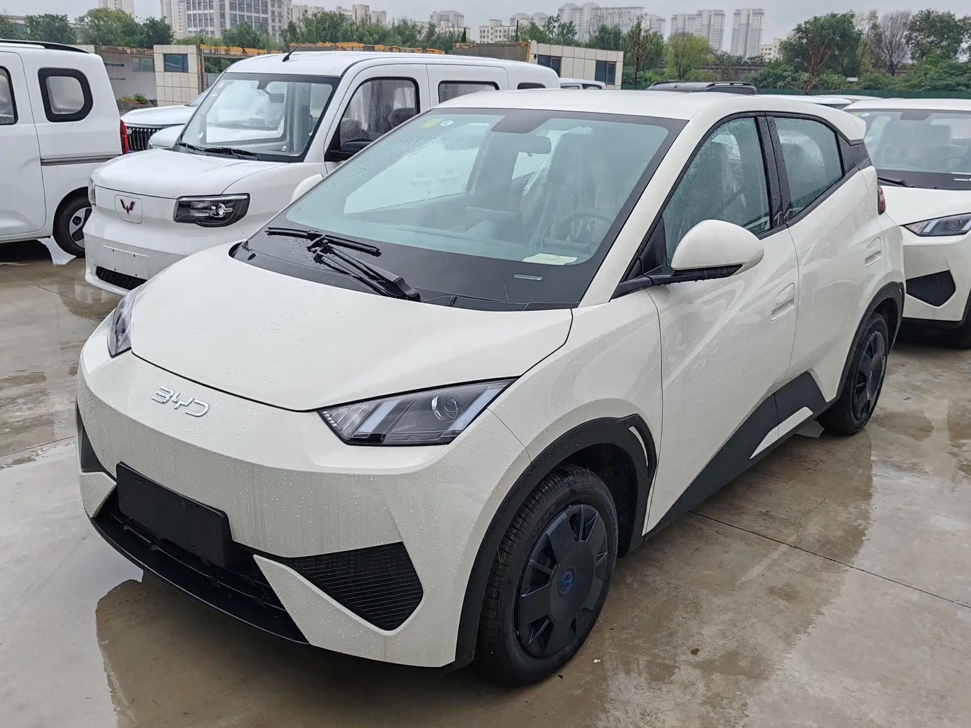 BYD Seagull 2025 Intelligent Driving Version 305 km Dynamic Edition — миниатюра 1