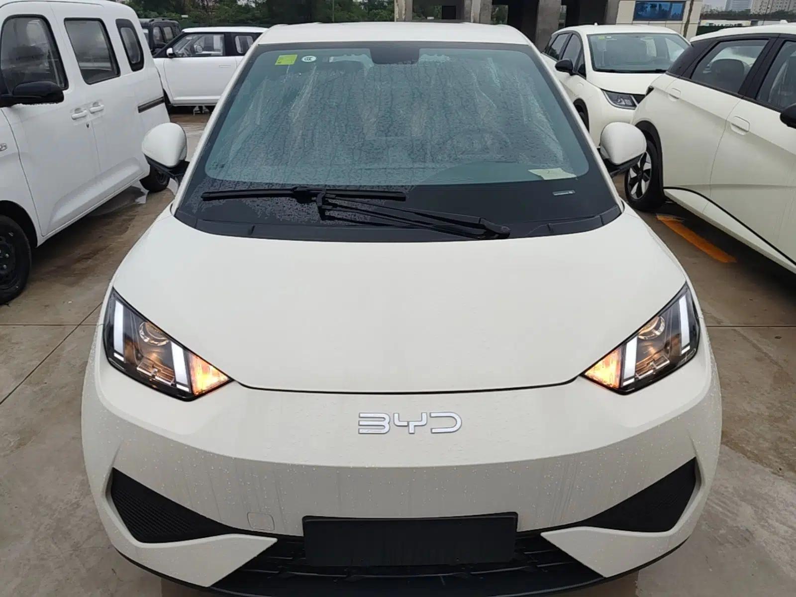 BYD Seagull 2025 Intelligent Driving Version 305 km Dynamic Edition — миниатюра 2