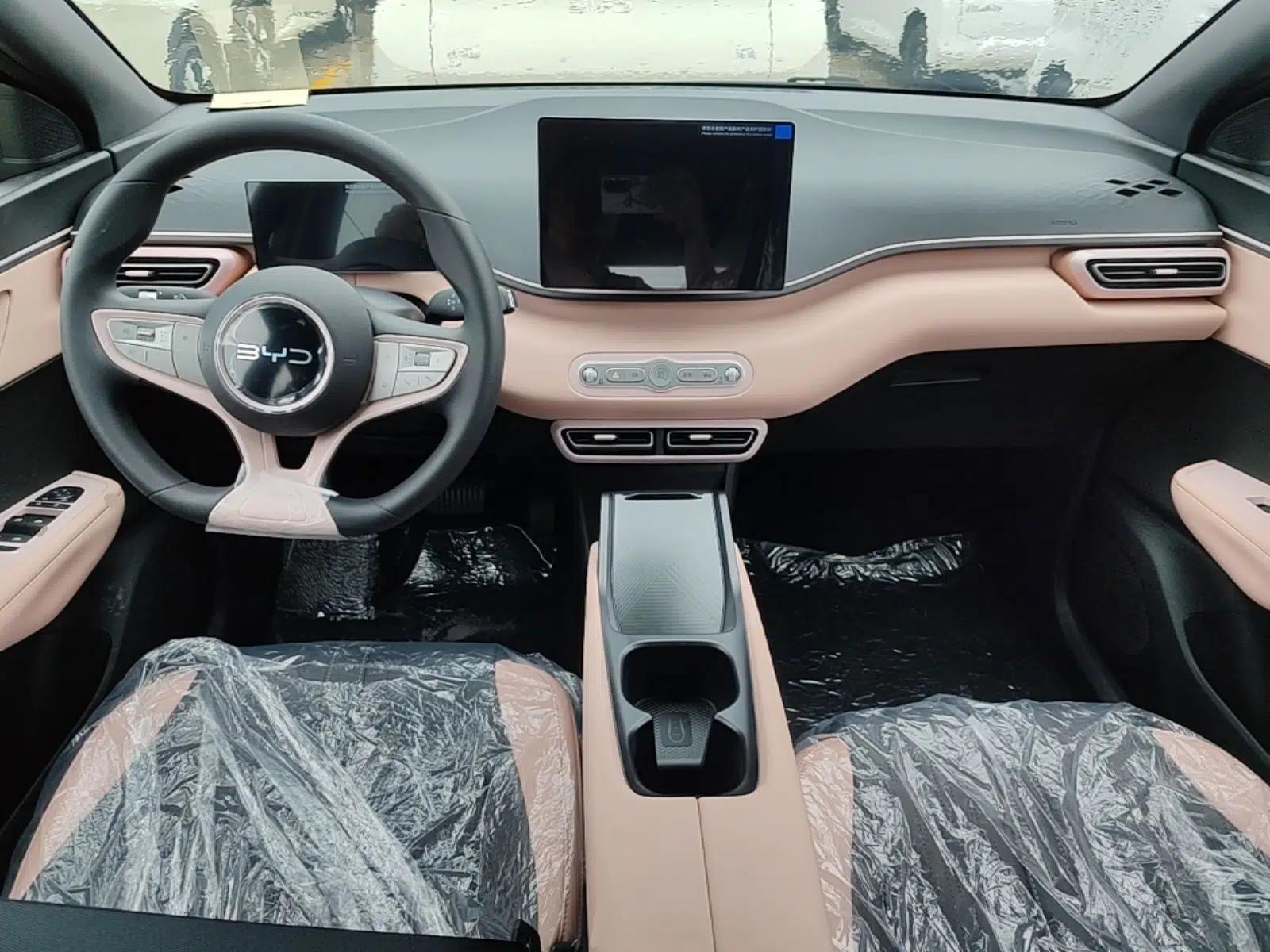 BYD Seagull 2025 Intelligent Driving Version 305 km Dynamic Edition — миниатюра 12