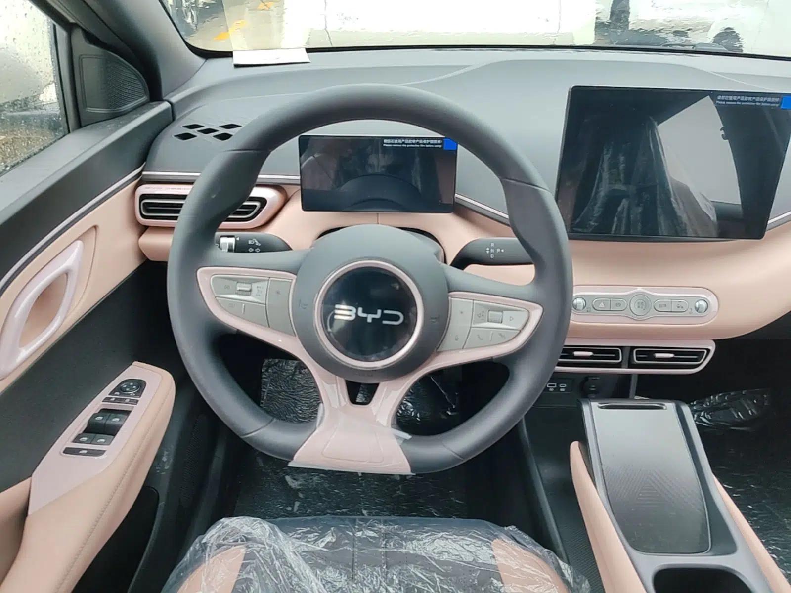 BYD Seagull 2025 Intelligent Driving Version 305 km Dynamic Edition — миниатюра 13