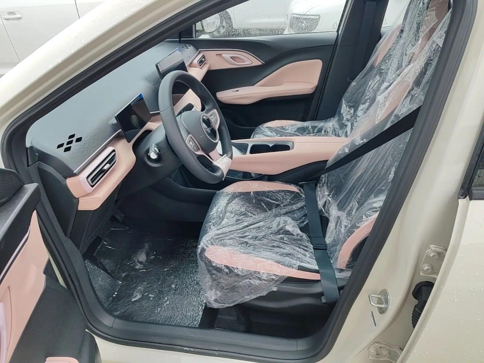 BYD Seagull 2025 Intelligent Driving Version 305 km Dynamic Edition — миниатюра 17