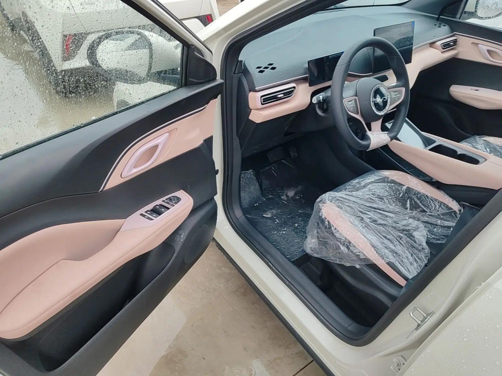 BYD Seagull 2025 Intelligent Driving Version 305 km Dynamic Edition — миниатюра 18