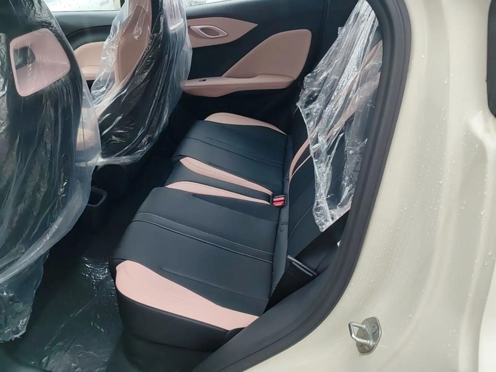 BYD Seagull 2025 Intelligent Driving Version 305 km Dynamic Edition — миниатюра 20