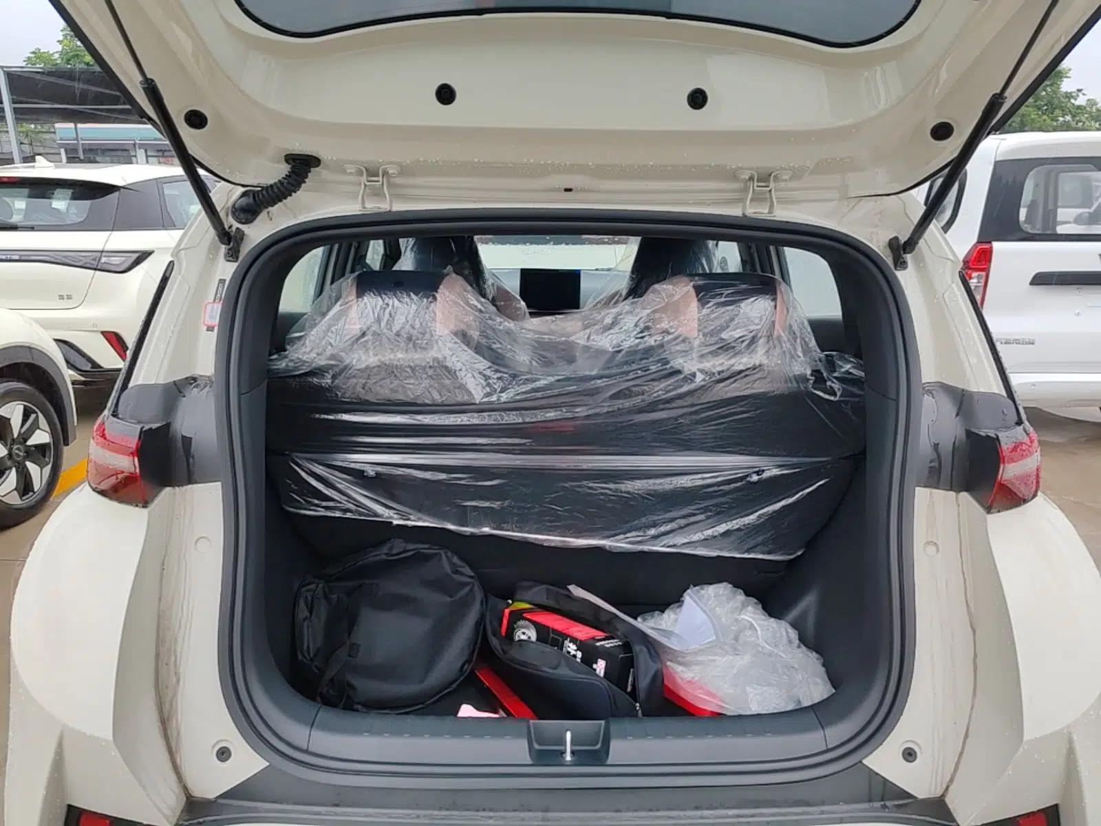 BYD Seagull 2025 Intelligent Driving Version 305 km Dynamic Edition — миниатюра 22