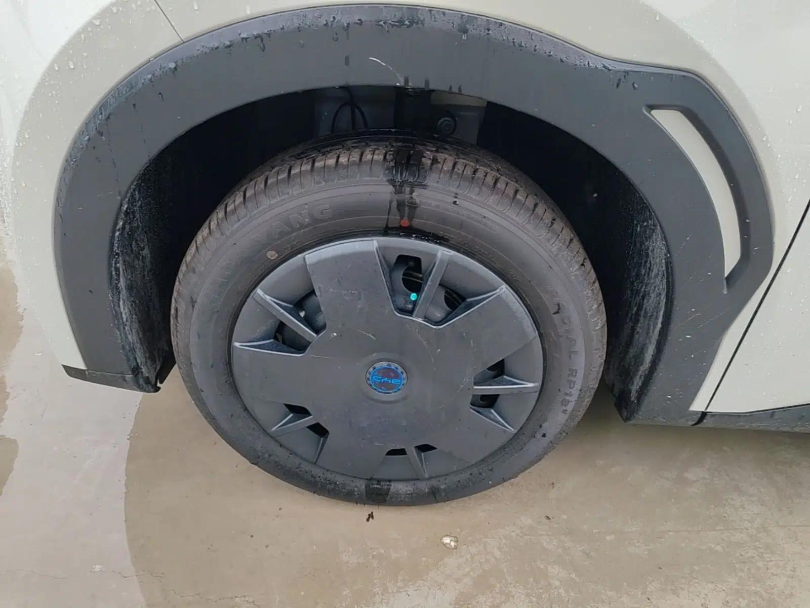BYD Seagull 2025 Intelligent Driving Version 305 km Dynamic Edition — миниатюра 10