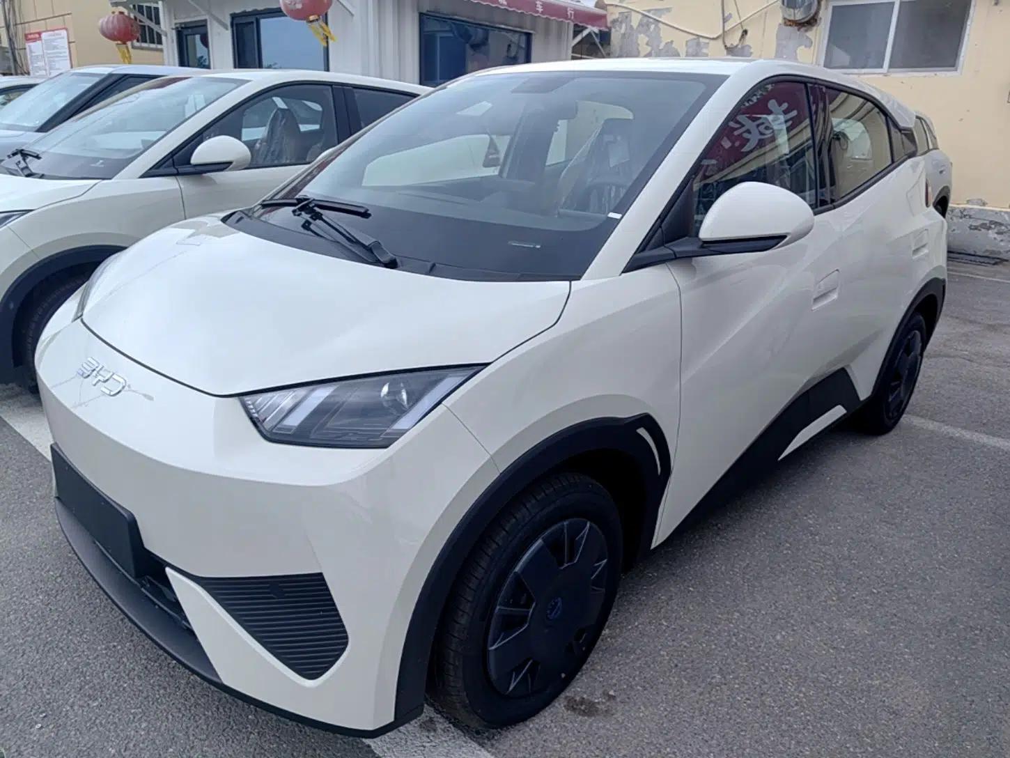 BYD Seagull 2025 Intelligent Driving Version 305 km Dynamic Edition — миниатюра 1