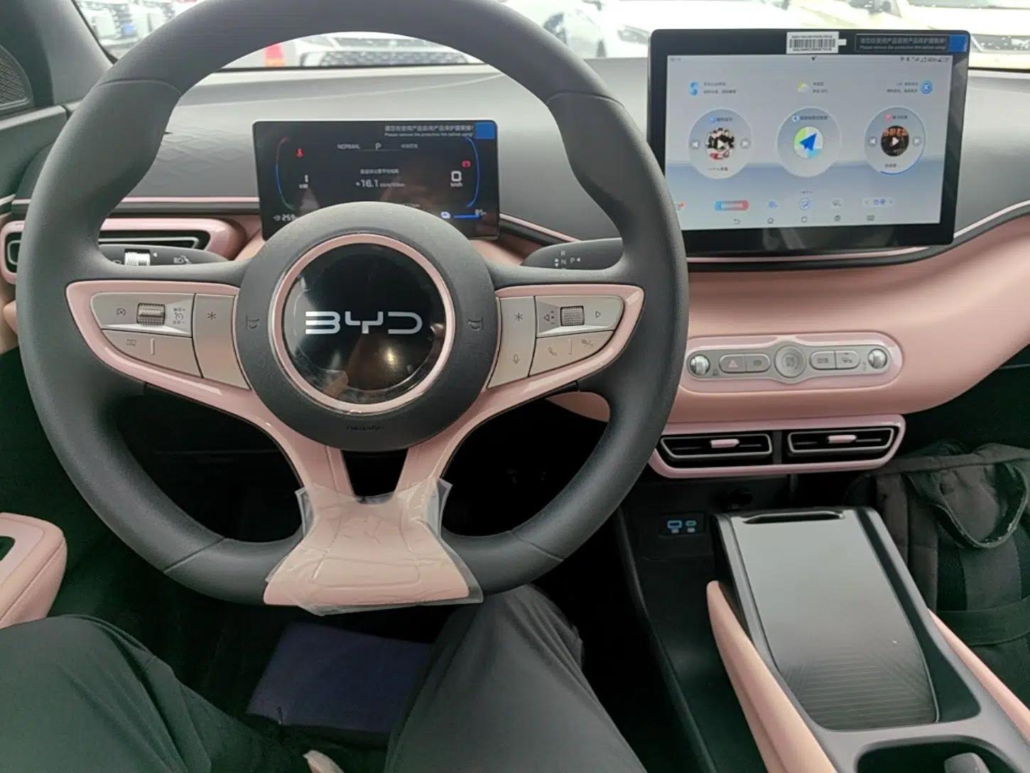 BYD Seagull 2025 Intelligent Driving Version 305 km Dynamic Edition — миниатюра 12