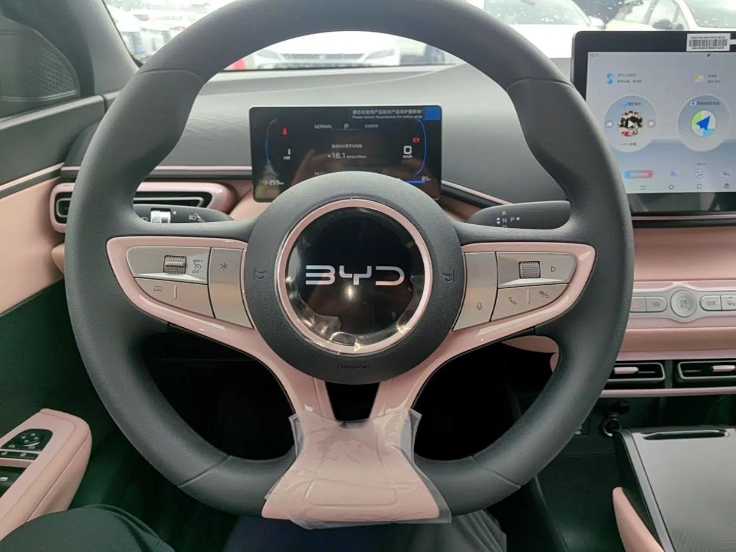BYD Seagull 2025 Intelligent Driving Version 305 km Dynamic Edition — миниатюра 13