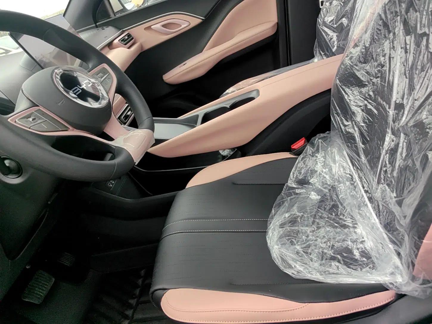 BYD Seagull 2025 Intelligent Driving Version 305 km Dynamic Edition — миниатюра 17