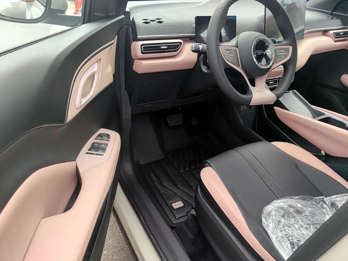 BYD Seagull 2025 Intelligent Driving Version 305 km Dynamic Edition — миниатюра 18