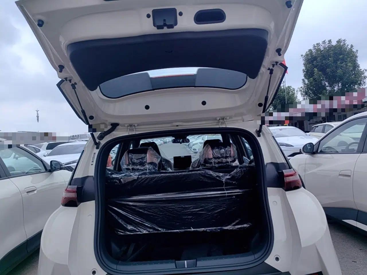 BYD Seagull 2025 Intelligent Driving Version 305 km Dynamic Edition — миниатюра 22