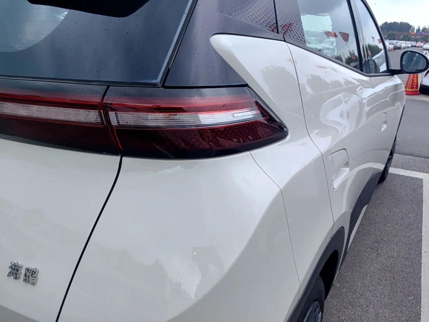 BYD Seagull 2025 Intelligent Driving Version 305 km Dynamic Edition — миниатюра 9