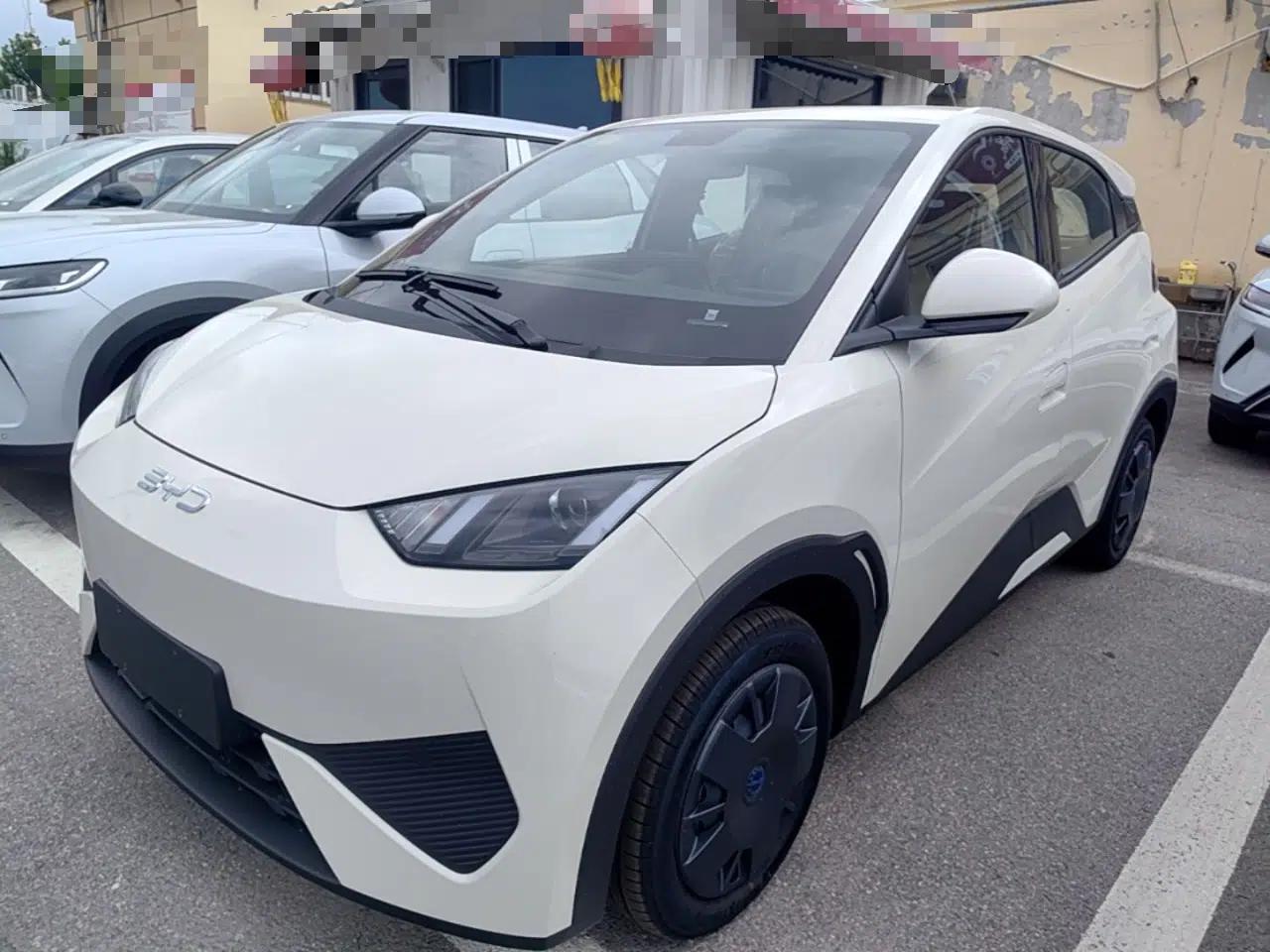 BYD Seagull 2025 Intelligent Driving Version 305 km Dynamic Edition — миниатюра 1