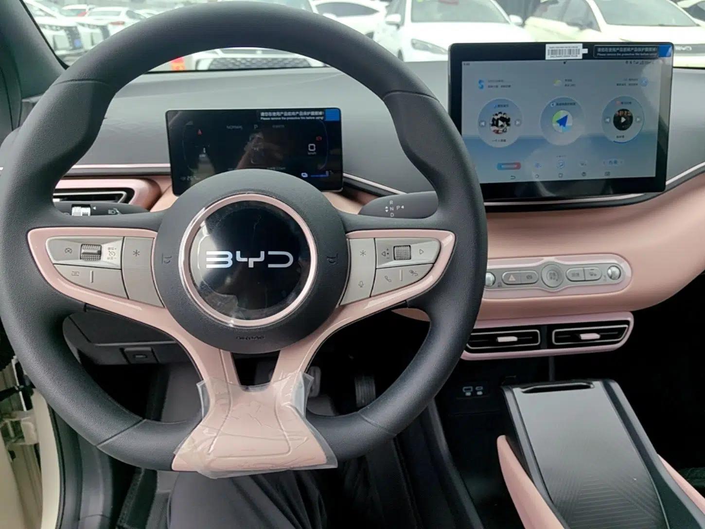 BYD Seagull 2025 Intelligent Driving Version 305 km Dynamic Edition — миниатюра 12