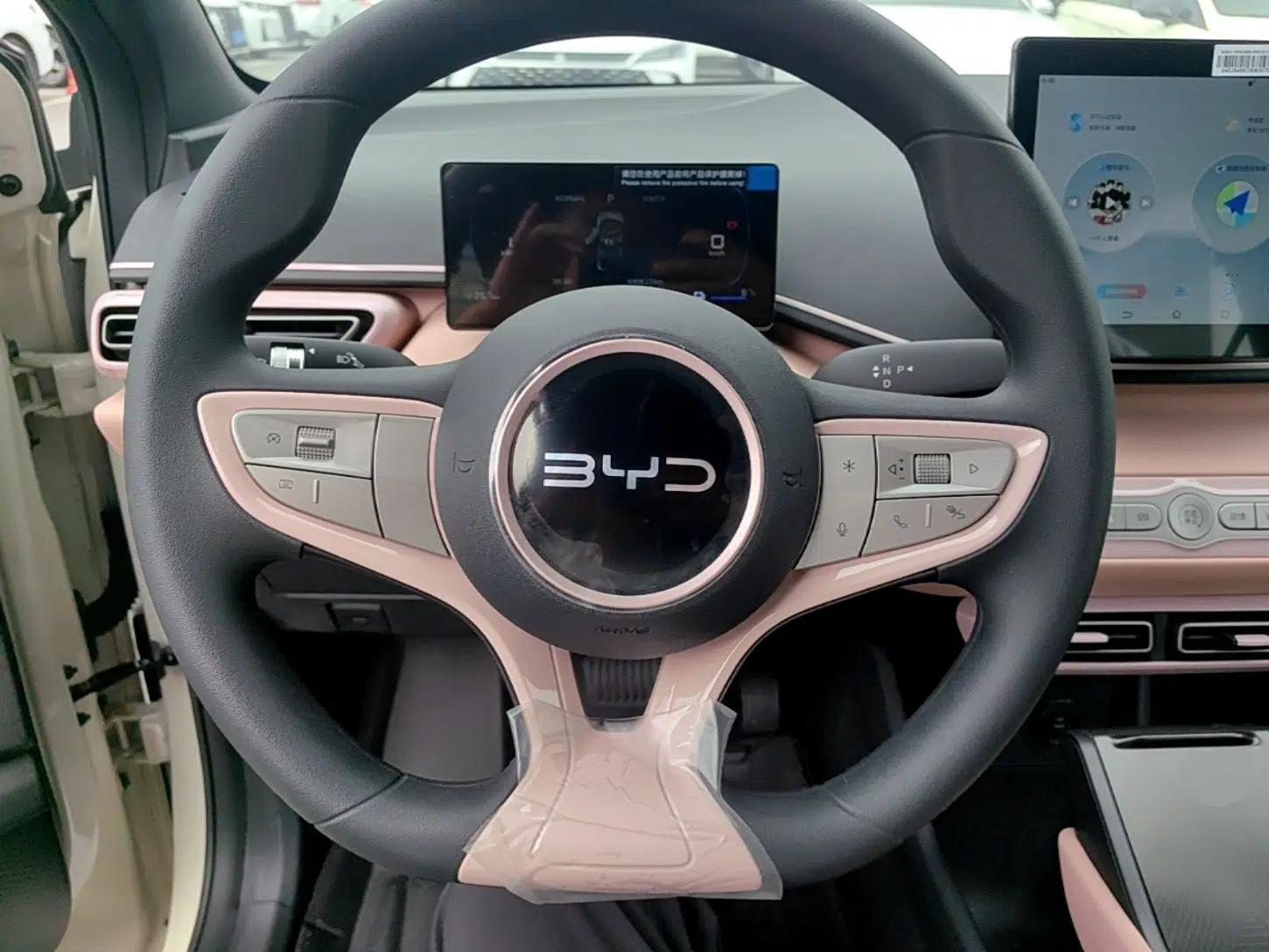 BYD Seagull 2025 Intelligent Driving Version 305 km Dynamic Edition — миниатюра 13