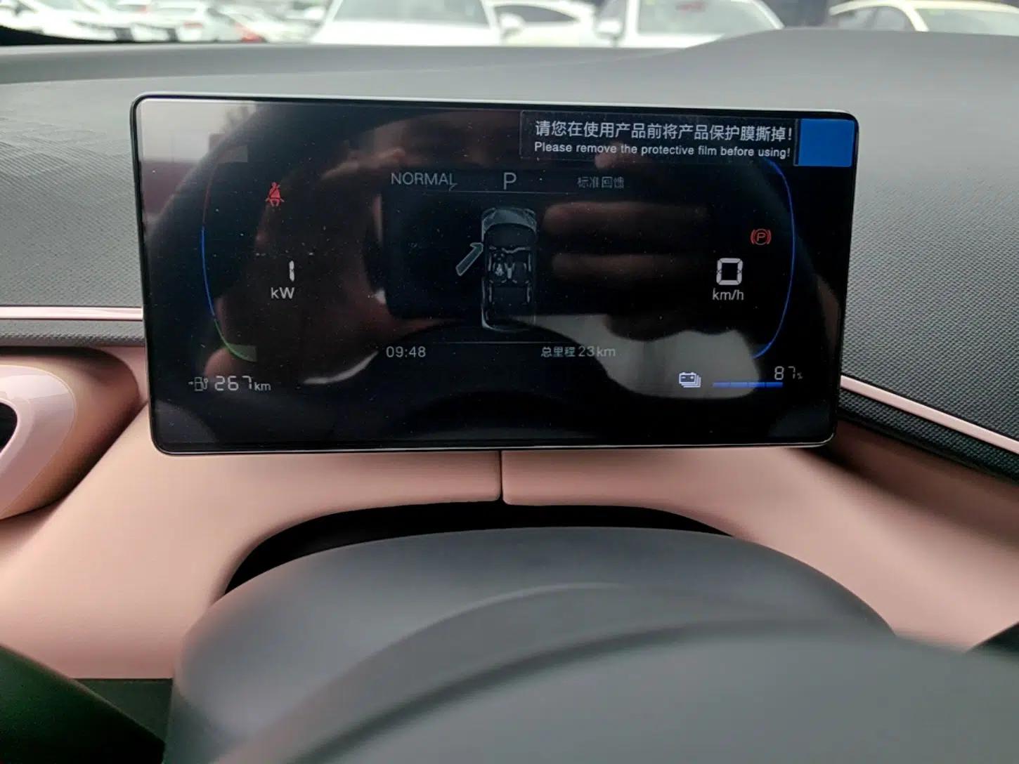 BYD Seagull 2025 Intelligent Driving Version 305 km Dynamic Edition — миниатюра 14