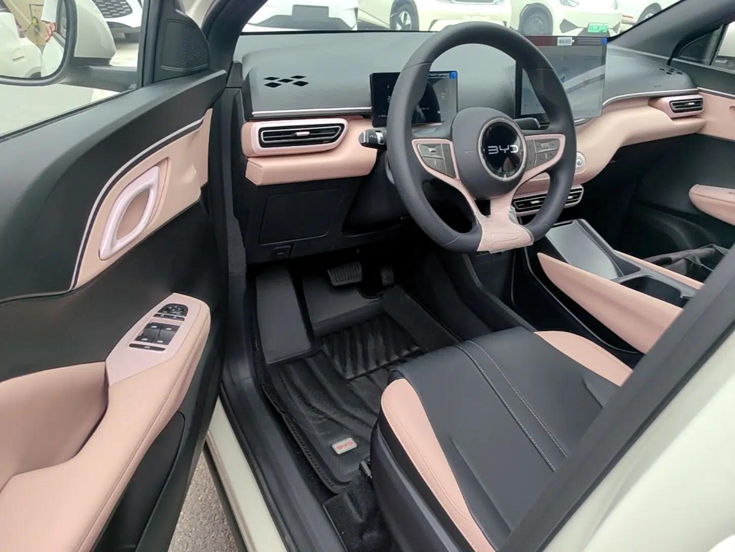 BYD Seagull 2025 Intelligent Driving Version 305 km Dynamic Edition — миниатюра 18