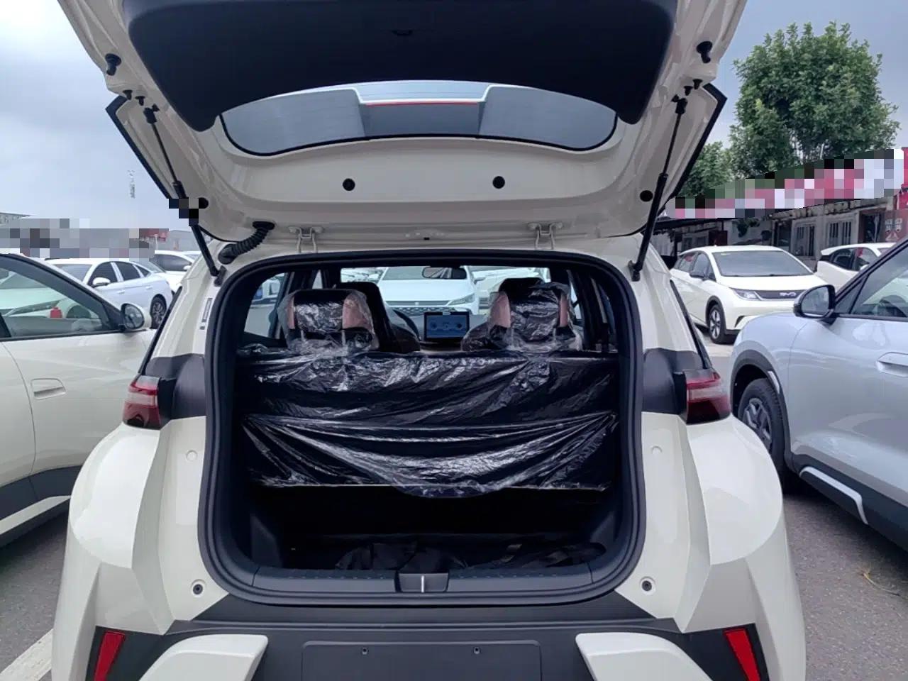 BYD Seagull 2025 Intelligent Driving Version 305 km Dynamic Edition — миниатюра 22