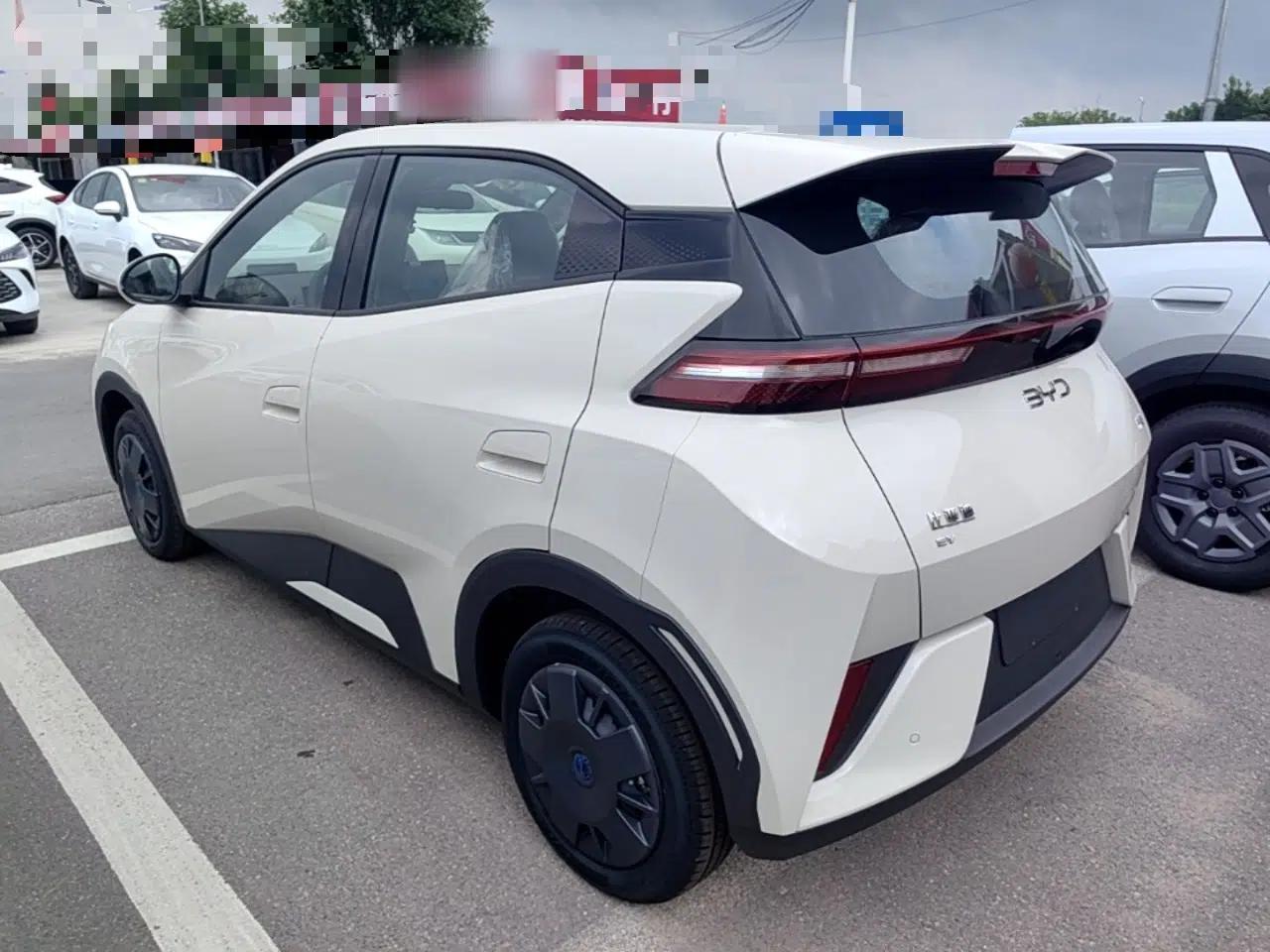 BYD Seagull 2025 Intelligent Driving Version 305 km Dynamic Edition — миниатюра 4