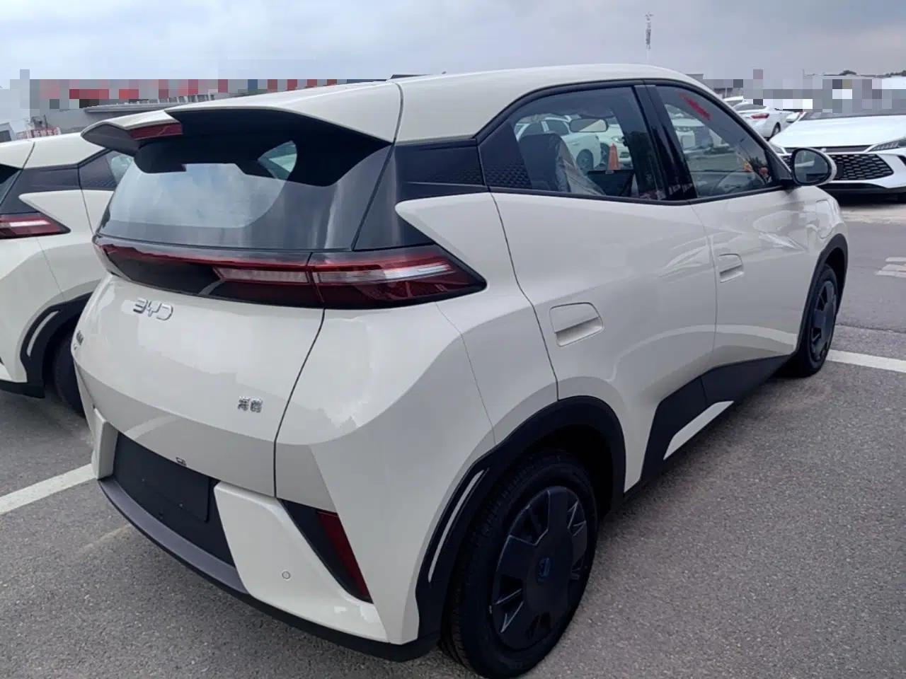 BYD Seagull 2025 Intelligent Driving Version 305 km Dynamic Edition — миниатюра 6