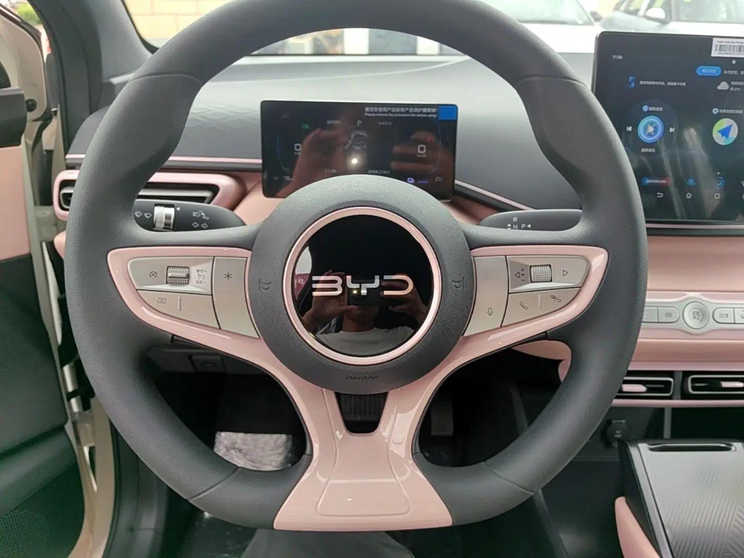 BYD Seagull 2025 Intelligent Driving Version 305 km Dynamic Edition — миниатюра 13