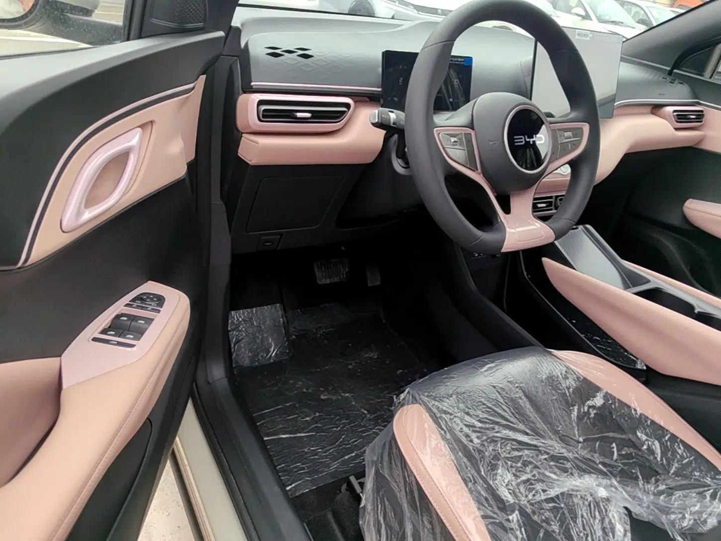 BYD Seagull 2025 Intelligent Driving Version 305 km Dynamic Edition — миниатюра 18