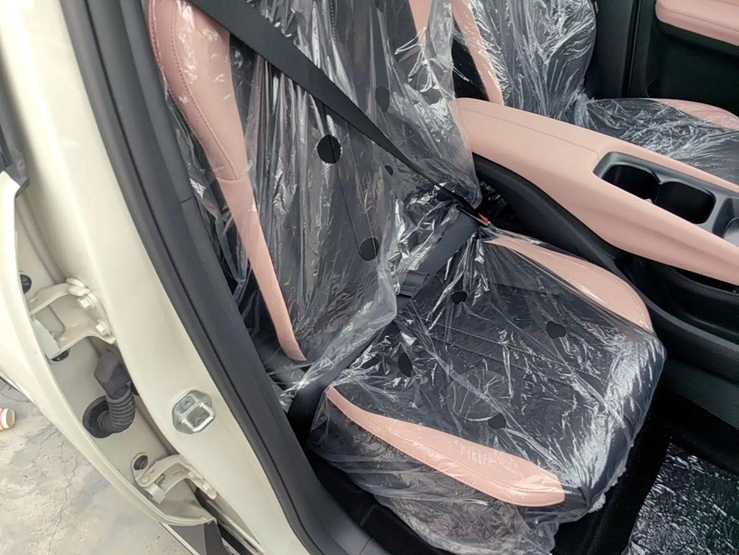 BYD Seagull 2025 Intelligent Driving Version 305 km Dynamic Edition — миниатюра 19