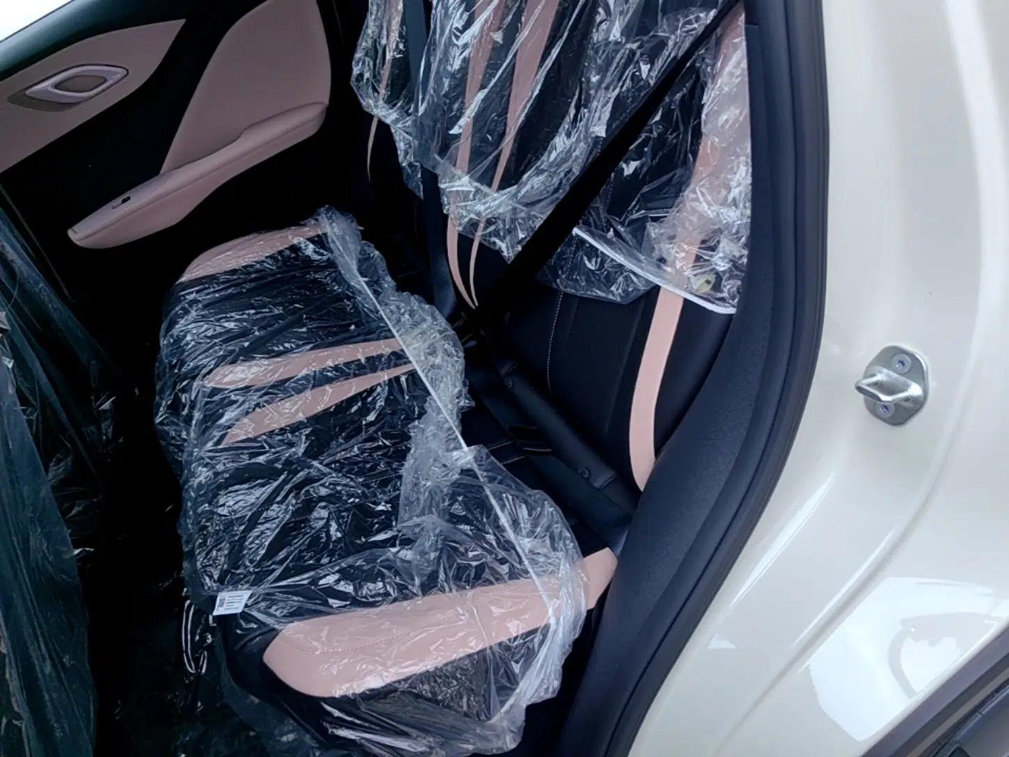 BYD Seagull 2025 Intelligent Driving Version 305 km Dynamic Edition — миниатюра 20